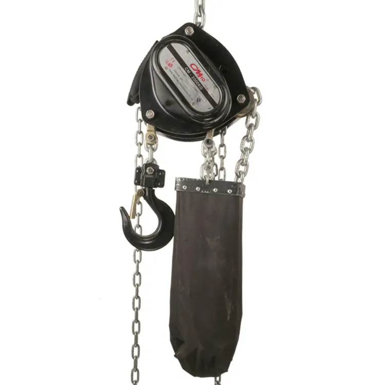 Outdoor Stage Lifting Hoist suppliers