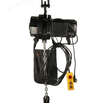 110v Single Phase Stage Hoist